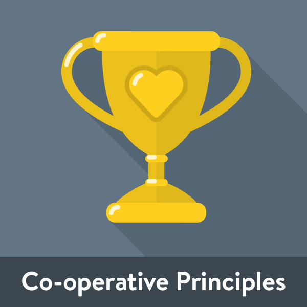 iamt icon 07 title coop principles