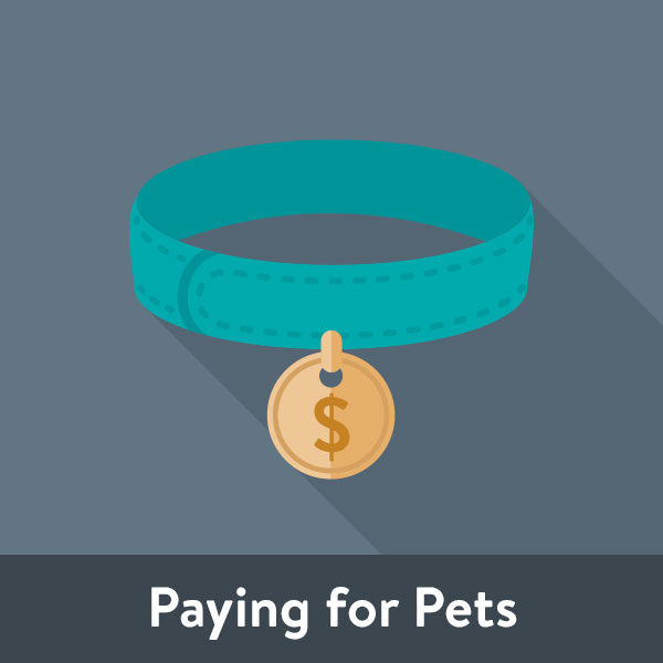 iamt icon 43 paying for pets