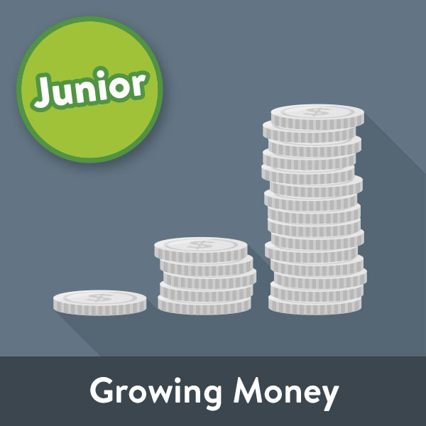 iamt icon jr6 growing money